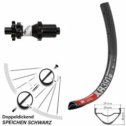 Dt-swiss Hinterrad Straightpull XR 391 DT Swiss X1900 6-Loch Nabe 29 Zoll