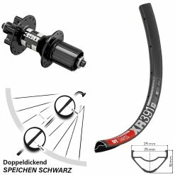 Dt-swiss DT Swiss 350 XR 391 Hinteres Rad 29 Zoll Für 6-Loch