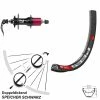 Dt-swiss 27,5 Zoll Hinterrad Novatec D792SB DT Swiss 533 D 6-Loch