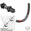 Dt-swiss DT Swiss 533 D Hinterrad 29 Zoll Mit 350 Straightpull 6-loch QR Nabe