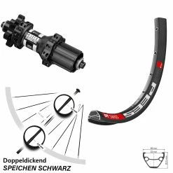 Dt-swiss DT Swiss 533 D Hinterrad 29 Zoll Mit 350 Straightpull 6-loch QR Nabe