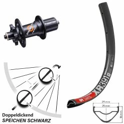 Dt-swiss DT Swiss XR 391 Hinterrad 29 Zoll Mit 350 Nabe 5/135 Mm