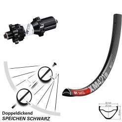 Dt-swiss 29 Zoll Hinterrad DT Swiss XM 421 X1900 Nabe Straightpull