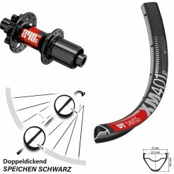 Dt-swiss 28/29 Zoll Hinterrad DT Swiss XM 401-240S 6-Loch 12x142