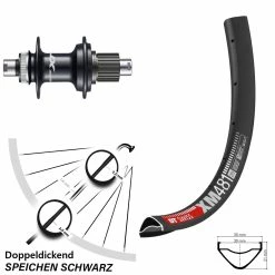 Dt-swiss 29 Zoll Hinterrad DT Swiss XM 481 Shimano Deore XT FH-M8110