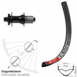 Dt-swiss Formula DHG-142 DT Swiss XR 391 Hinterrad 29 Zoll Für 6-Loch